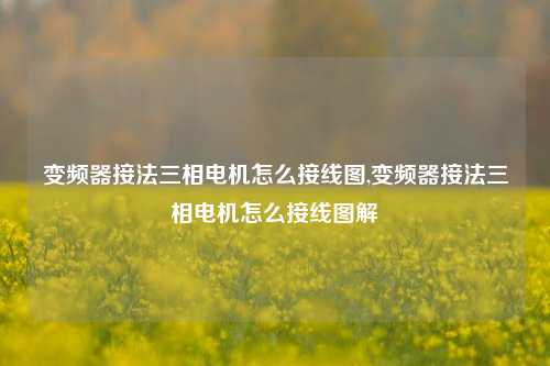 变频器接法三相电机怎么接线图,变频器接法三相电机怎么接线图解-第1张图片-丹佛斯变频器_安川变频器_台达变频器_汇川变频器-变频器之家