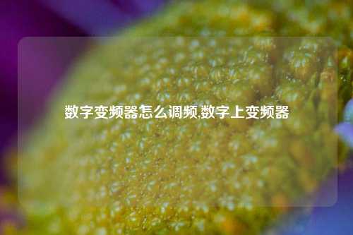 数字变频器怎么调频,数字上变频器-第1张图片-丹佛斯变频器_安川变频器_台达变频器_汇川变频器-变频器之家