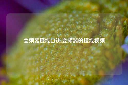 变频器接线口诀,变频器的接线视频-第1张图片-丹佛斯变频器_安川变频器_台达变频器_汇川变频器-变频器之家