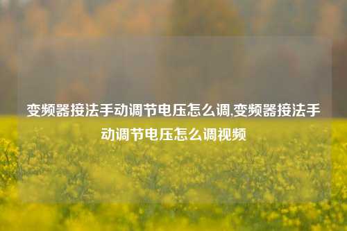 变频器接法手动调节电压怎么调,变频器接法手动调节电压怎么调视频-第1张图片-丹佛斯变频器_安川变频器_台达变频器_汇川变频器-变频器之家