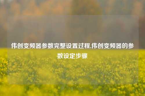 伟创变频器参数完整设置过程,伟创变频器的参数设定步骤-第1张图片-丹佛斯变频器_安川变频器_台达变频器_汇川变频器-变频器之家