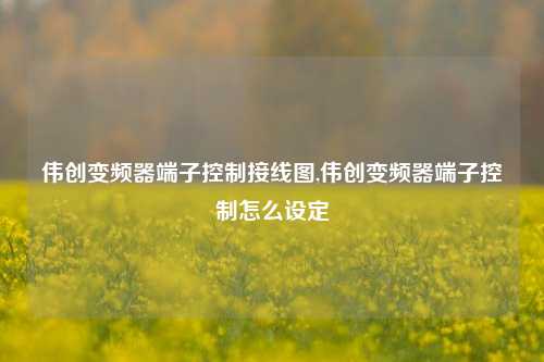 伟创变频器端子控制接线图,伟创变频器端子控制怎么设定-第1张图片-丹佛斯变频器_安川变频器_台达变频器_汇川变频器-变频器之家