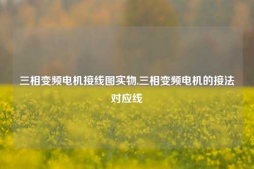 三相变频电机接线图实物,三相变频电机的接法对应线-第1张图片-丹佛斯变频器_安川变频器_台达变频器_汇川变频器-变频器之家