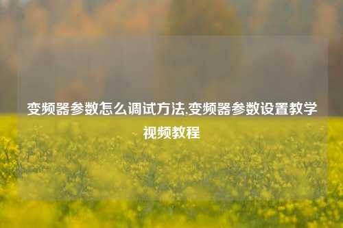 变频器参数怎么调试方法,变频器参数设置教学视频教程-第1张图片-丹佛斯变频器_安川变频器_台达变频器_汇川变频器-变频器之家