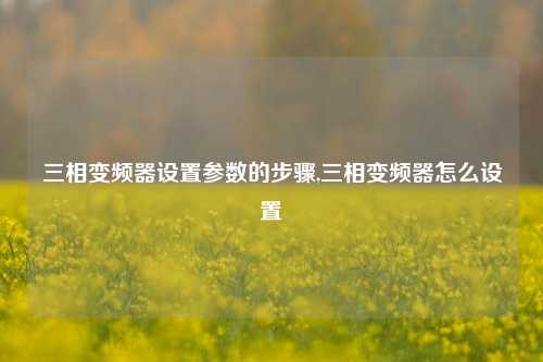 三相变频器设置参数的步骤,三相变频器怎么设置-第1张图片-丹佛斯变频器_安川变频器_台达变频器_汇川变频器-变频器之家