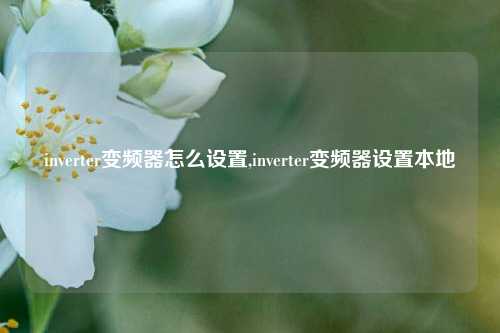 inverter变频器怎么设置,inverter变频器设置本地-第1张图片-丹佛斯变频器_安川变频器_台达变频器_汇川变频器-变频器之家