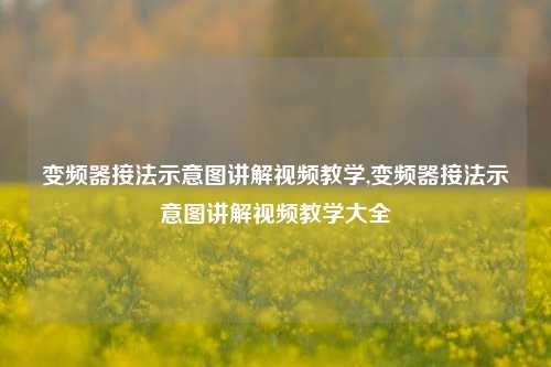 变频器接法示意图讲解视频教学,变频器接法示意图讲解视频教学大全-第1张图片-丹佛斯变频器_安川变频器_台达变频器_汇川变频器-变频器之家