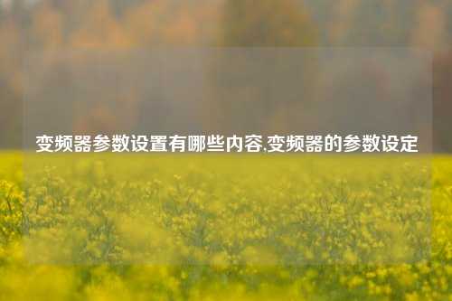 变频器参数设置有哪些内容,变频器的参数设定-第1张图片-丹佛斯变频器_安川变频器_台达变频器_汇川变频器-变频器之家