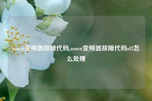 zoncn变频器故障代码,zoncn变频器故障代码ol2怎么处理-第1张图片-丹佛斯变频器_安川变频器_台达变频器_汇川变频器-变频器之家