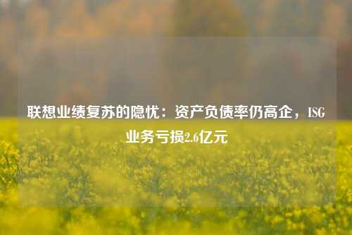 联想业绩复苏的隐忧：资产负债率仍高企，ISG业务亏损2.6亿元-第1张图片-丹佛斯变频器_安川变频器_台达变频器_汇川变频器-变频器之家