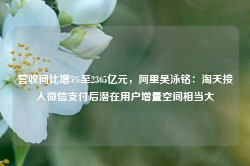 营收同比增5%至2365亿元，阿里吴泳铭：淘天接入微信支付后潜在用户增量空间相当大-第1张图片-丹佛斯变频器_安川变频器_台达变频器_汇川变频器-变频器之家