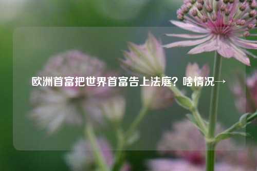 欧洲首富把世界首富告上法庭？啥情况→-第1张图片-丹佛斯变频器_安川变频器_台达变频器_汇川变频器-变频器之家