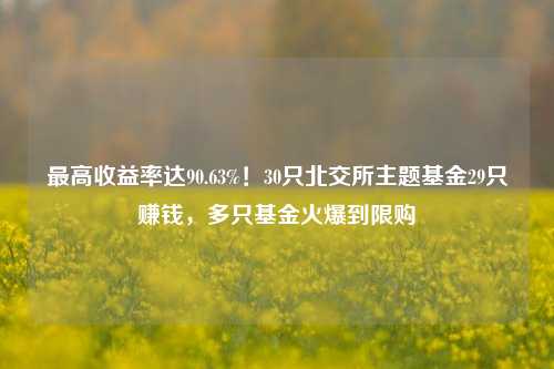 最高收益率达90.63%！30只北交所主题基金29只赚钱，多只基金火爆到限购-第1张图片-丹佛斯变频器_安川变频器_台达变频器_汇川变频器-变频器之家