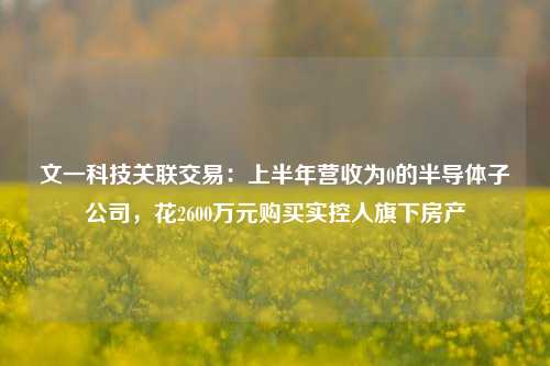 文一科技关联交易：上半年营收为0的半导体子公司，花2600万元购买实控人旗下房产-第1张图片-丹佛斯变频器_安川变频器_台达变频器_汇川变频器-变频器之家