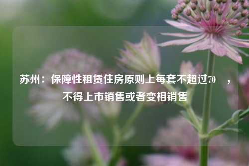 苏州：保障性租赁住房原则上每套不超过70㎡，不得上市销售或者变相销售-第1张图片-丹佛斯变频器_安川变频器_台达变频器_汇川变频器-变频器之家