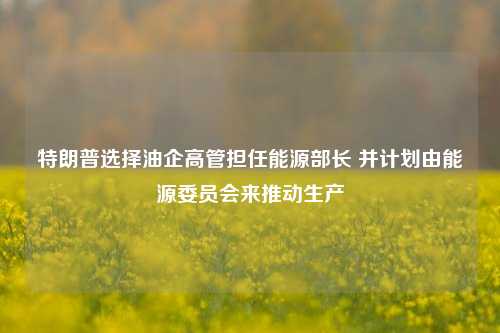 特朗普选择油企高管担任能源部长 并计划由能源委员会来推动生产-第1张图片-丹佛斯变频器_安川变频器_台达变频器_汇川变频器-变频器之家