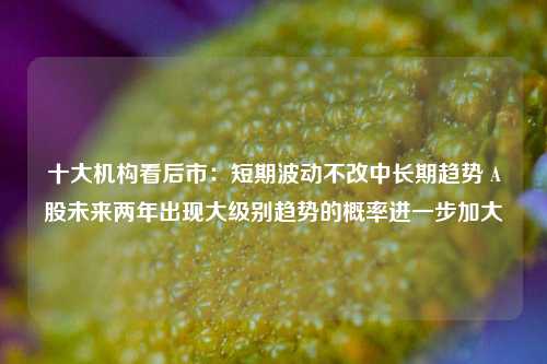 十大机构看后市：短期波动不改中长期趋势 A股未来两年出现大级别趋势的概率进一步加大-第1张图片-丹佛斯变频器_安川变频器_台达变频器_汇川变频器-变频器之家