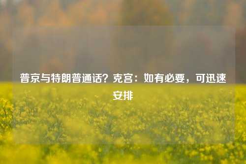 普京与特朗普通话？克宫：如有必要，可迅速安排-第1张图片-丹佛斯变频器_安川变频器_台达变频器_汇川变频器-变频器之家