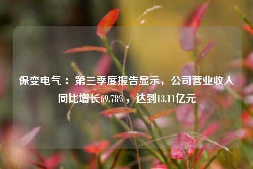 保变电气 ：第三季度报告显示，公司营业收入同比增长69.78%，达到13.11亿元-第1张图片-丹佛斯变频器_安川变频器_台达变频器_汇川变频器-变频器之家