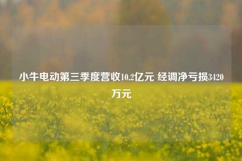 小牛电动第三季度营收10.2亿元 经调净亏损3420万元-第1张图片-丹佛斯变频器_安川变频器_台达变频器_汇川变频器-变频器之家