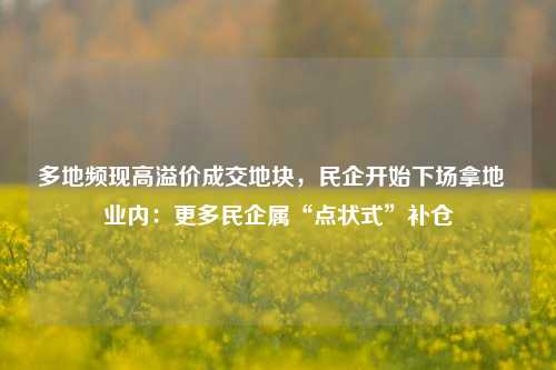 多地频现高溢价成交地块，民企开始下场拿地  业内：更多民企属“点状式”补仓-第1张图片-丹佛斯变频器_安川变频器_台达变频器_汇川变频器-变频器之家