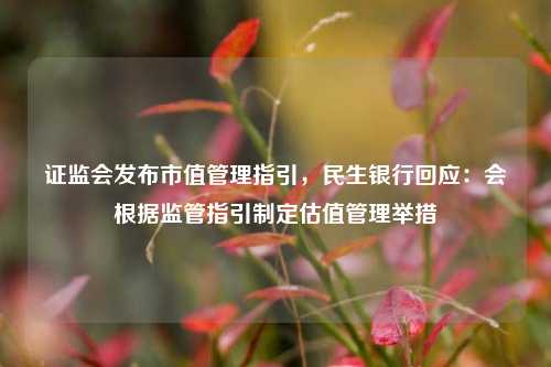 证监会发布市值管理指引，民生银行回应：会根据监管指引制定估值管理举措-第1张图片-丹佛斯变频器_安川变频器_台达变频器_汇川变频器-变频器之家