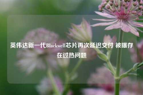 英伟达新一代Blackwell芯片再次延迟交付 被曝存在过热问题-第1张图片-丹佛斯变频器_安川变频器_台达变频器_汇川变频器-变频器之家