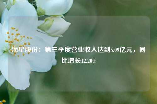 海星股份：第三季度营业收入达到5.09亿元，同比增长12.20%-第1张图片-丹佛斯变频器_安川变频器_台达变频器_汇川变频器-变频器之家