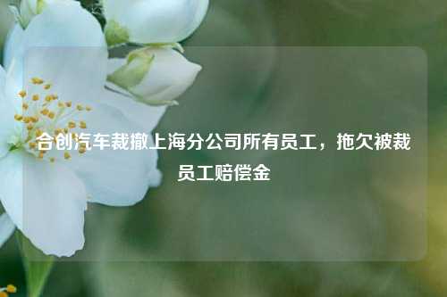 合创汽车裁撤上海分公司所有员工，拖欠被裁员工赔偿金-第1张图片-丹佛斯变频器_安川变频器_台达变频器_汇川变频器-变频器之家