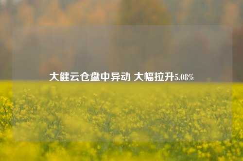 大健云仓盘中异动 大幅拉升5.08%-第1张图片-丹佛斯变频器_安川变频器_台达变频器_汇川变频器-变频器之家