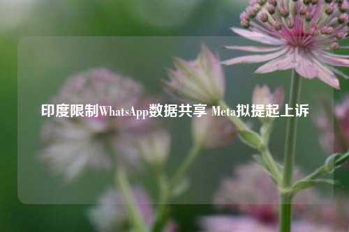 印度限制WhatsApp数据共享 Meta拟提起上诉-第1张图片-丹佛斯变频器_安川变频器_台达变频器_汇川变频器-变频器之家