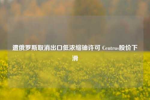 遭俄罗斯取消出口低浓缩铀许可 Centrus股价下滑-第1张图片-丹佛斯变频器_安川变频器_台达变频器_汇川变频器-变频器之家