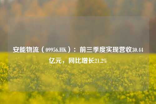 安能物流（09956.HK）：前三季度实现营收30.44亿元，同比增长21.2%-第1张图片-丹佛斯变频器_安川变频器_台达变频器_汇川变频器-变频器之家