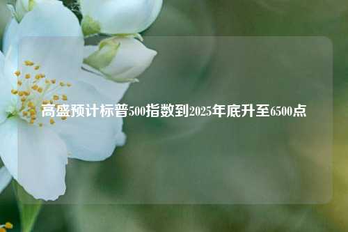 高盛预计标普500指数到2025年底升至6500点-第1张图片-丹佛斯变频器_安川变频器_台达变频器_汇川变频器-变频器之家