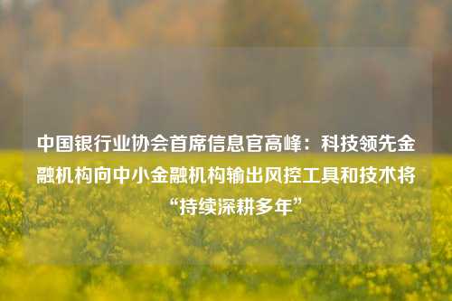 中国银行业协会首席信息官高峰：科技领先金融机构向中小金融机构输出风控工具和技术将“持续深耕多年”-第1张图片-丹佛斯变频器_安川变频器_台达变频器_汇川变频器-变频器之家