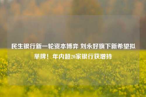 民生银行新一轮资本博弈 刘永好旗下新希望拟举牌！年内超20家银行获增持-第1张图片-丹佛斯变频器_安川变频器_台达变频器_汇川变频器-变频器之家