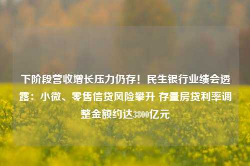 下阶段营收增长压力仍存！民生银行业绩会透露：小微、零售信贷风险攀升 存量房贷利率调整金额约达3800亿元-第1张图片-丹佛斯变频器_安川变频器_台达变频器_汇川变频器-变频器之家