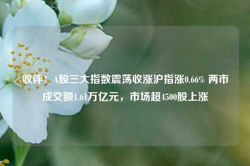 收评：A股三大指数震荡收涨沪指涨0.66% 两市成交额1.61万亿元，市场超4500股上涨-第1张图片-丹佛斯变频器_安川变频器_台达变频器_汇川变频器-变频器之家