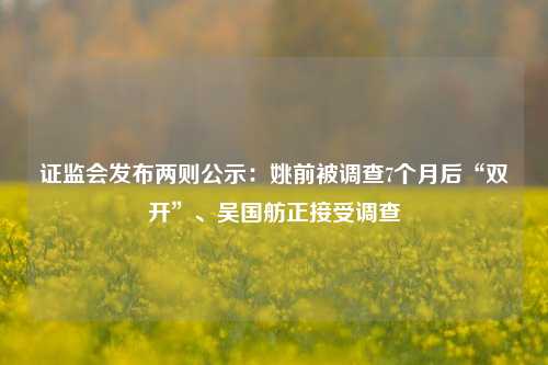 证监会发布两则公示：姚前被调查7个月后“双开”、吴国舫正接受调查-第1张图片-丹佛斯变频器_安川变频器_台达变频器_汇川变频器-变频器之家