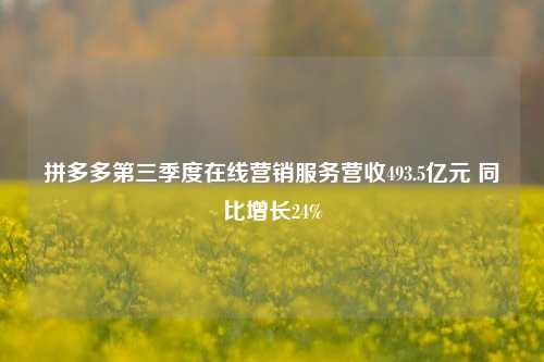 拼多多第三季度在线营销服务营收493.5亿元 同比增长24%-第1张图片-丹佛斯变频器_安川变频器_台达变频器_汇川变频器-变频器之家