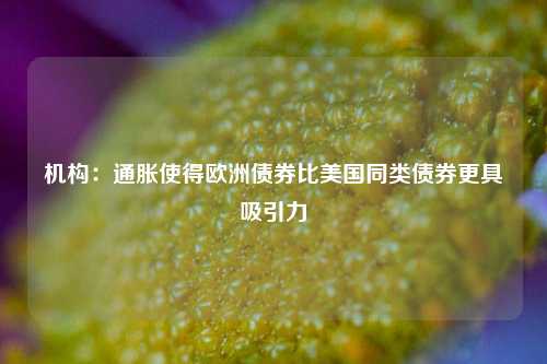 机构：通胀使得欧洲债券比美国同类债券更具吸引力-第1张图片-丹佛斯变频器_安川变频器_台达变频器_汇川变频器-变频器之家