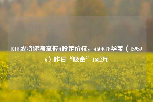 ETF或将逐渐掌握A股定价权，A50ETF华宝（159596）昨日“吸金”1682万-第1张图片-丹佛斯变频器_安川变频器_台达变频器_汇川变频器-变频器之家