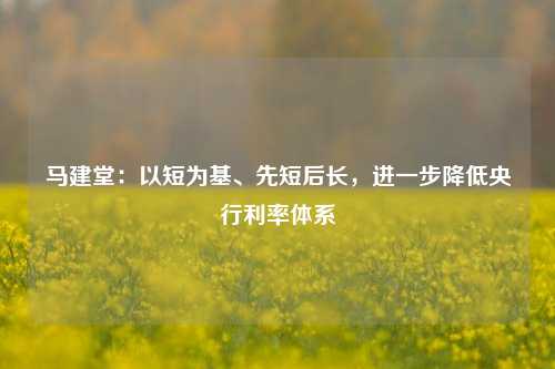 马建堂：以短为基、先短后长，进一步降低央行利率体系-第1张图片-丹佛斯变频器_安川变频器_台达变频器_汇川变频器-变频器之家