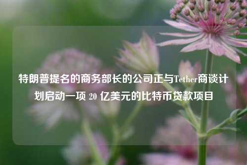 特朗普提名的商务部长的公司正与Tether商谈计划启动一项 20 亿美元的比特币贷款项目-第1张图片-丹佛斯变频器_安川变频器_台达变频器_汇川变频器-变频器之家