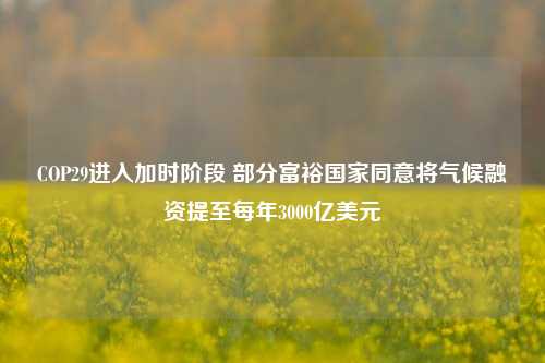 COP29进入加时阶段 部分富裕国家同意将气候融资提至每年3000亿美元-第1张图片-丹佛斯变频器_安川变频器_台达变频器_汇川变频器-变频器之家