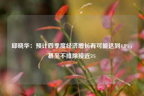 邱晓华：预计四季度经济增长有可能达到4.8%，甚至不排除接近5%-第1张图片-丹佛斯变频器_安川变频器_台达变频器_汇川变频器-变频器之家