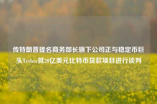 传特朗普提名商务部长旗下公司正与稳定币巨头Tether就20亿美元比特币贷款项目进行谈判-第1张图片-丹佛斯变频器_安川变频器_台达变频器_汇川变频器-变频器之家