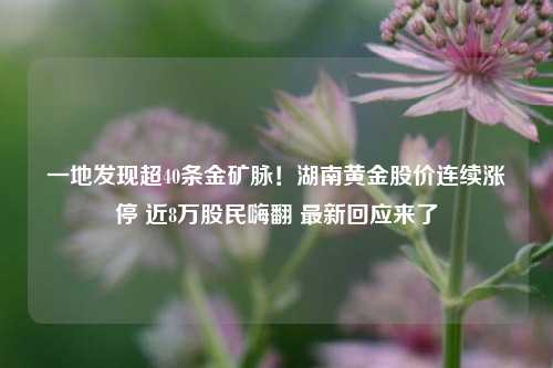 一地发现超40条金矿脉！湖南黄金股价连续涨停 近8万股民嗨翻 最新回应来了-第1张图片-丹佛斯变频器_安川变频器_台达变频器_汇川变频器-变频器之家