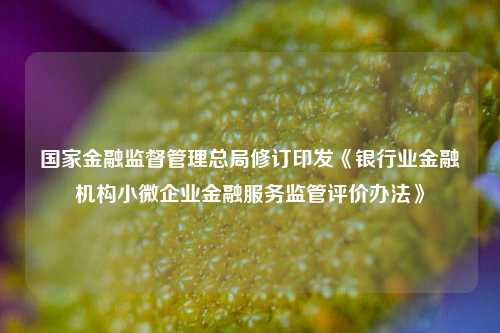 国家金融监督管理总局修订印发《银行业金融机构小微企业金融服务监管评价办法》-第1张图片-丹佛斯变频器_安川变频器_台达变频器_汇川变频器-变频器之家