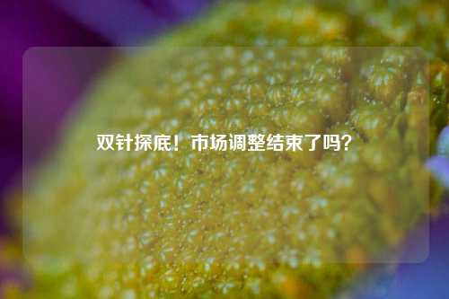 双针探底！市场调整结束了吗？-第1张图片-丹佛斯变频器_安川变频器_台达变频器_汇川变频器-变频器之家